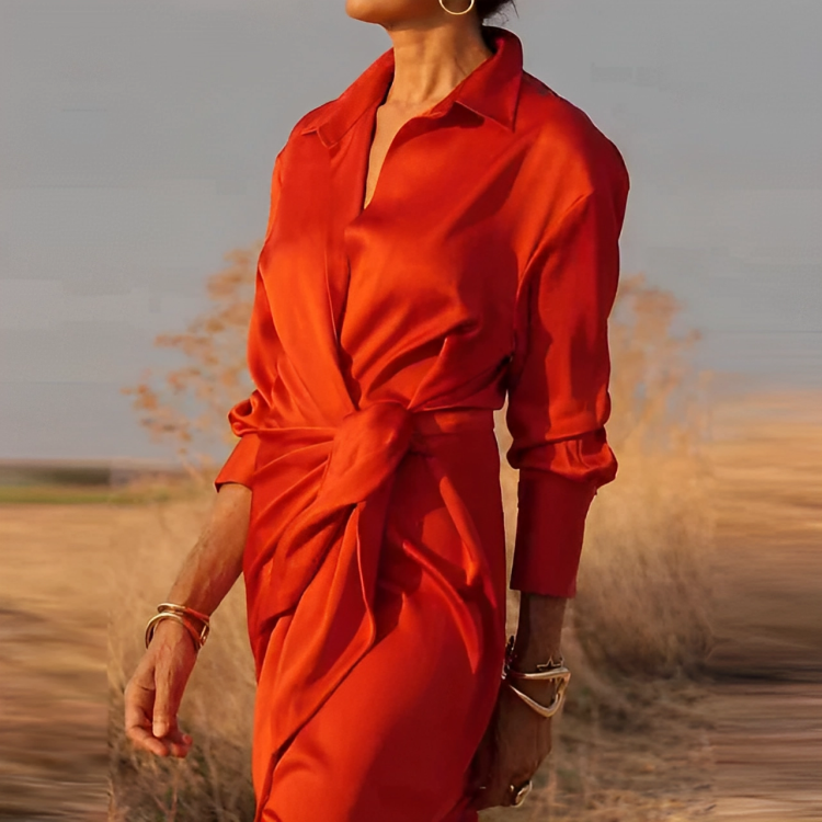 Sophisticated Dress with a Clean Classic Look